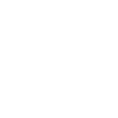 Logo in Footer